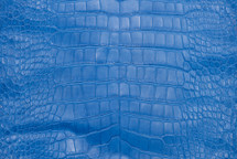 Alligator Skin Belly Matte Indigo Bunting Blue 25/29 cm