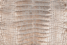 Alligator Skin Belly Crisp Rose Gold 35/39 cm