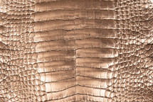 Alligator Skin Belly Crisp Rose Gold Black 35/39 cm
