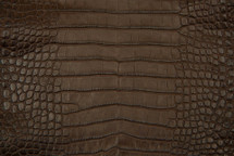 Alligator Skin Belly Matte Brown 25/29 cm