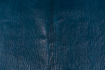 Shark Skin Matte Ocean Blue XL