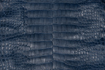 Alligator Skin Belly Matte Tru Navy 25/29 cm