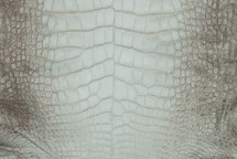 Alligator Skin Belly Matte Himalayan Grey 40/44 cm