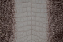 Alligator Skin Belly Matte Dark Himalayan 40/44 cm