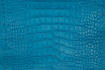 Alligator Skin Belly Matte Tarheel Blue 35/39 cm