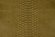 Python Skin Short-Tailed Matte Khaki