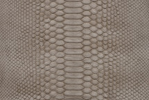 Python Skin Short-Tailed Matte Grey Shark