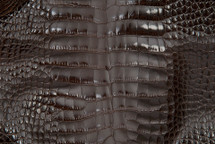 Alligator Skin Belly Glazed Brown 40/44 cm