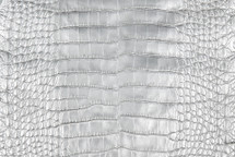 Alligator Skin Belly Crisp Silver 45/49 cm