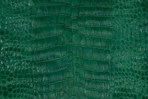 Alligator Skin Belly Matte Amazon Green 35/39 cm