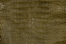 Alligator Skin Belly Matte Martini Olive 35/39 cm