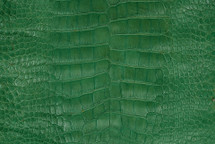 Alligator Skin Belly Matte Willow Green 35/39 cm