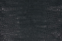Alligator Skin Belly Shimmer Black 35/39 cm