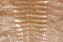 Alligator Skin Belly Crisp Rose Gold Wheat 35/39 cm
