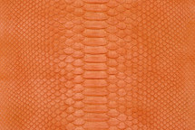 Python Skin Short-Tailed Matte Scarlet Ibis Orange