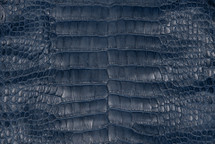 Alligator Skin Belly Matte Poseidon 30/34 cm
