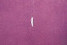 Stingray Skin Standard Light Purple 15"