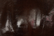 Lizard Skin Iguana Glazed Brown 30/34 cm