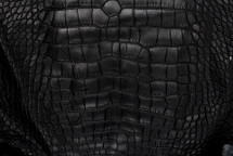 Alligator Skin Belly Matte Black 55/59 cm
