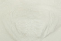 Lizard Skin Iguana Crust 25/29 cm