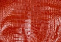  Alligator Skin Belly Glazed Rust Orange 45/49 cm