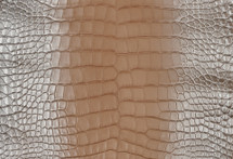 Alligator Skin Belly Degrade Nude Platinum 30/34 cm