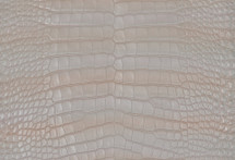 Alligator Skin Belly Pearlized Pink Unicorn 30/34 cm