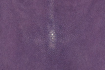 Stingray Skin Polished Purple 15"