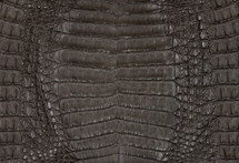 Caiman Belly Matte Dark Grey