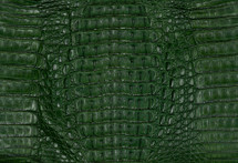 Caiman Hornback Matte Kentucky Green