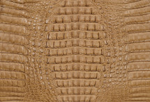 Caiman Hornback Matte Mink