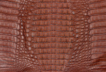 Caiman Hornback Matte Pecan