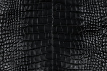 Alligator Skin Belly Millenium Black 30/34 cm