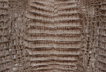 Caiman Belly Lux Everest