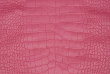 Alligator Skin Belly Matte Aurora Pink 40/44 cm