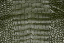 Alligator Skin Belly Matte Forest Green 35/39 cm