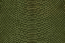 Python Skin Short-Tailed Suede Forest Green