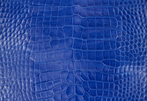 Alligator Skin Belly Glazed Dazzling Blue 50/54 cm