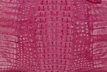 Caiman Hornback Matte Fuchsia