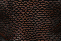 Beaver Tail Brush Off Black Cognac