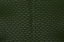 Beaver Tail Matte Forest