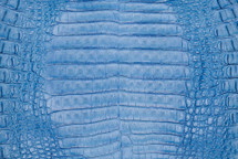 Caiman Belly Matte Light Blue
