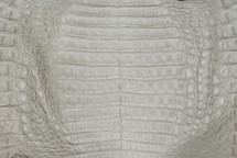 Caiman Belly Matte Light Grey