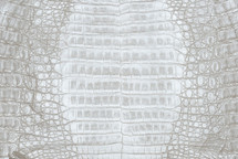 Caiman Belly Pearl
