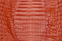  Caiman Belly Matte Tangerine