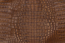 Caiman Hornback Antique Pecan