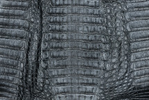 Caiman Hornback Black Ash