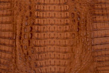 Caiman Skin Hornback Matte Cognac