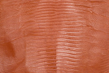 Lizard Skin Teju Glazed Orange