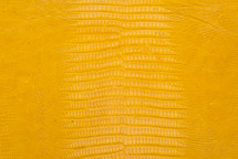 Lizard Skin Teju Glazed Yellow